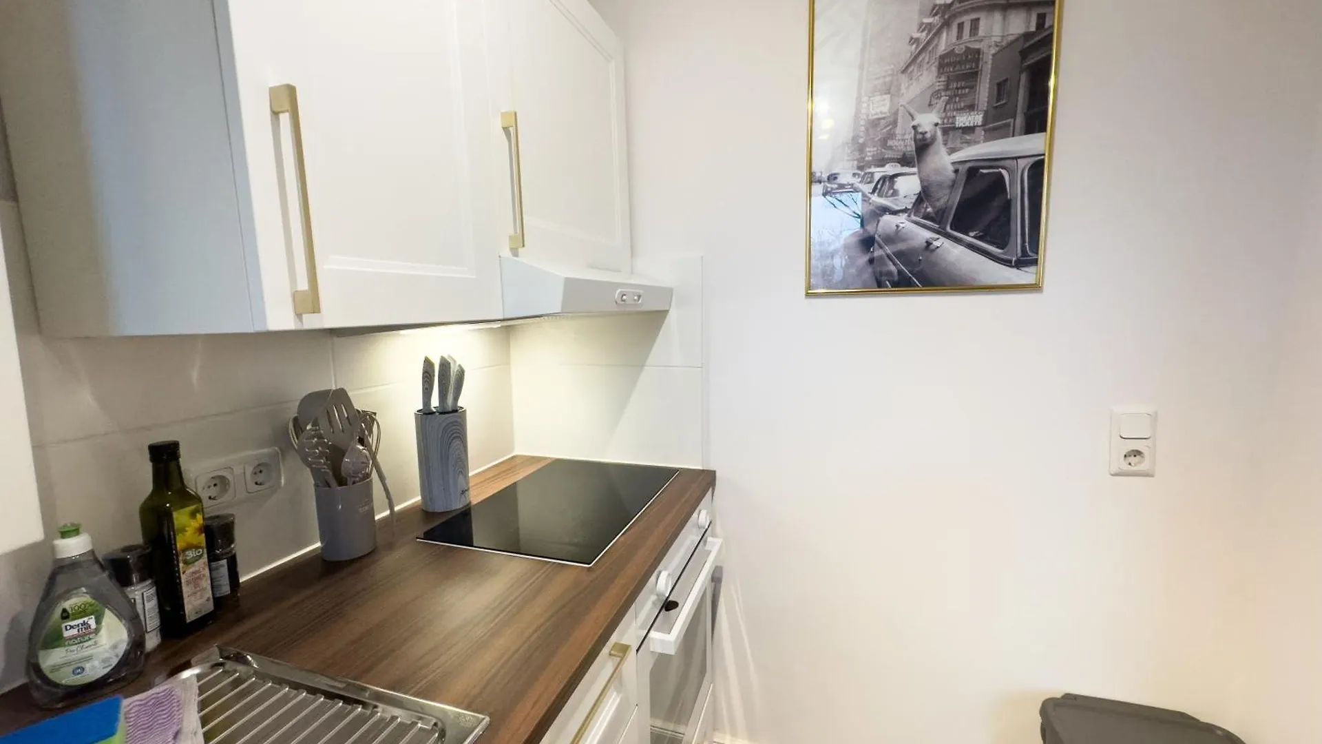 Messeapartment Fuer 4 Gaeste Mit Kostenlosen Parkplaetzen Hannover 0*,  Germany